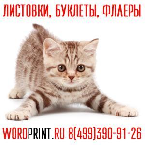 Группа компаний "Принт.ру" - Город Люберцы кот.jpg
